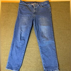 Universal Standard Straight Leg Jeans in Medium Blue 14
